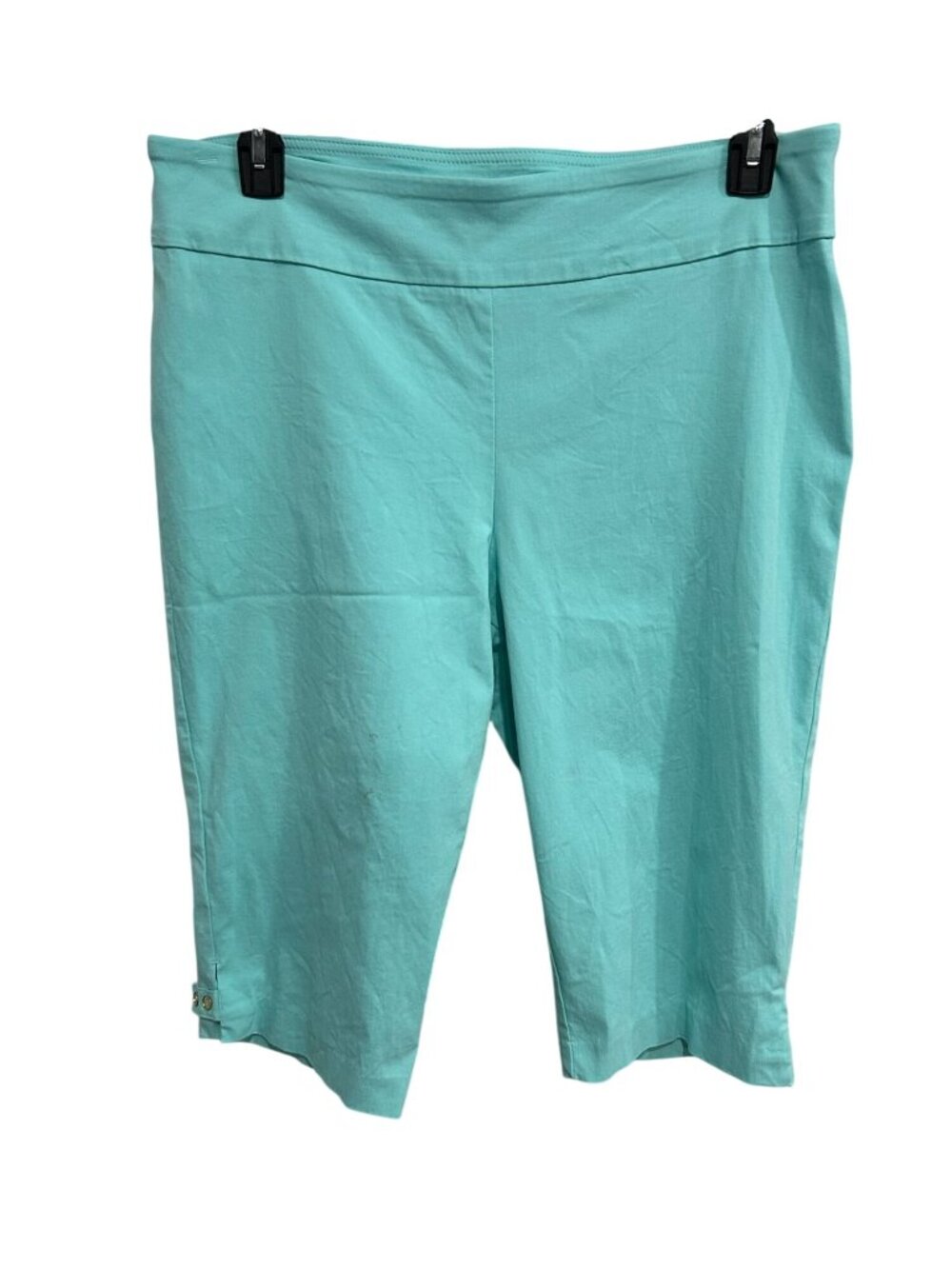 Counterparts 16P Aqua Blue Pull-On Capri Pants Button Accent Naturecore Boho